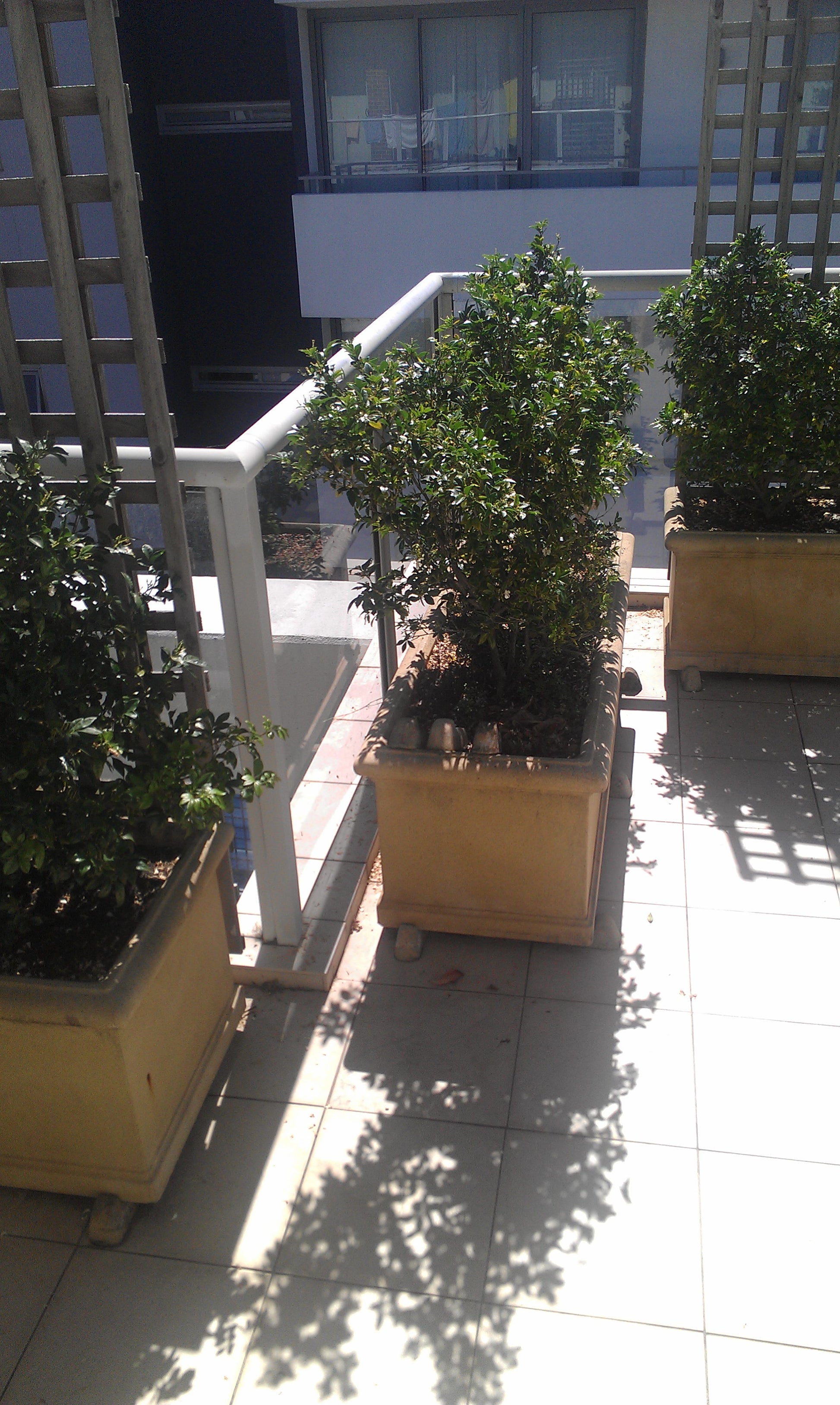 A Suitcase - Slac RuRu